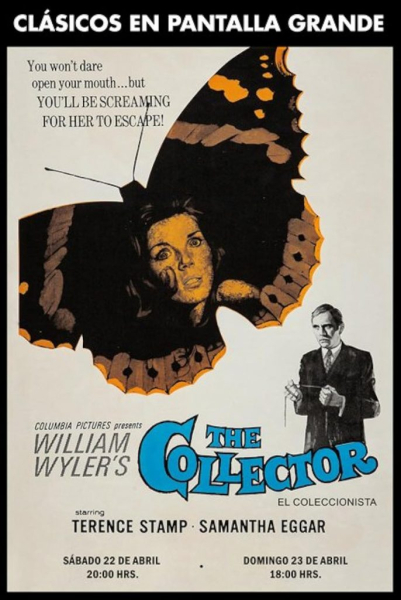 Какие фильмы и сериалы про Стокгольмский синдром стоит посмотреть